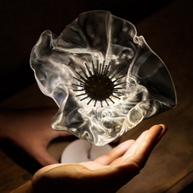 SLAMP Lafleur battery 2