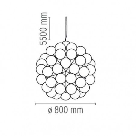 Taraxacum-88-sospensione-1-dimensioni